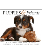 Puppies & Friends Box Calendar 2025 - Humanitas