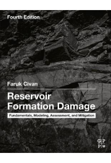 Reservoir Formation Damage - Humanitas