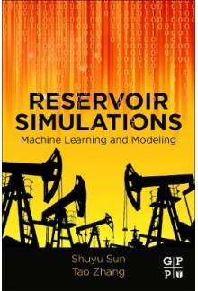 Reservoir Simulations - Humanitas