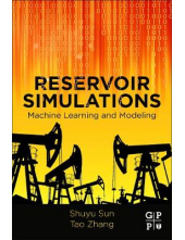 Reservoir Simulations - Humanitas