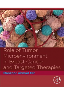 Role of Tumor Microenvironment in Breast Cancer and Targeted Therapies - Humanitas