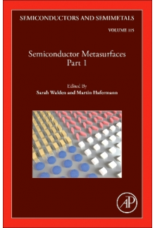 Semiconductor Metasurfaces, Part 1 - Humanitas