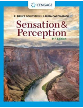 Sensation and Perception - Humanitas