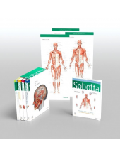 Sobotta Atlas of Anatomy 17th edition English/Latin (Package) - Humanitas