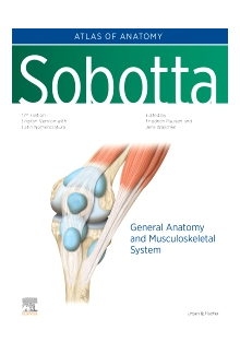 Sobotta Atlas of Anatomy, Vol.1, 17th ed., English/Latin - Humanitas