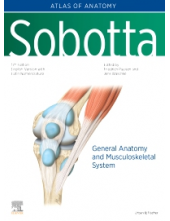 Sobotta Atlas of Anatomy, Vol.1, 17th ed., English/Latin - Humanitas