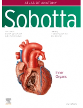 Sobotta Atlas of Anatomy, Vol. 2, 17th ed., English/Latin - Humanitas