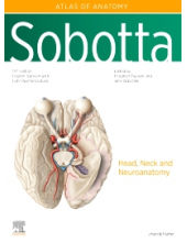 Sobotta Atlas of Anatomy, Vol. 3, 17th ed., English/Latin - Humanitas