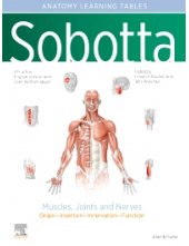 Sobotta Learning Tables of Muscles, Joints and Nerves, English/Latin - Humanitas