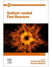 Sodium-cooled Fast Reactors - Humanitas
