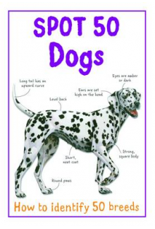 Spot 50 Dogs - Humanitas