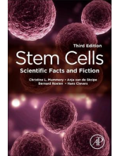Stem Cells - Humanitas