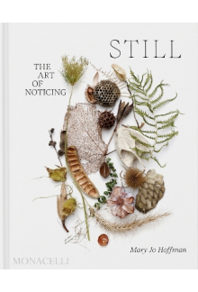 STILL: The Art of Noticing - Humanitas