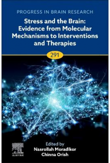 Stress and The Brain: Evidence from Molecular Mechanisms to Interventions and Therapies - Humanitas