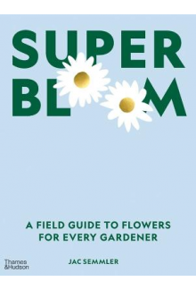 Super Bloom - Humanitas