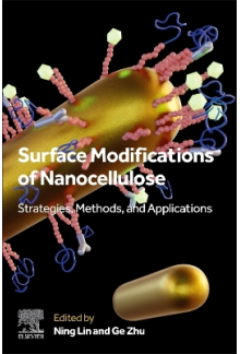 Surface Modifications of Nanocellulose - Humanitas