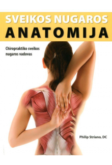 Sveikos nugaros anatomija: chiropraktiko sveikos nugaros vad - Humanitas