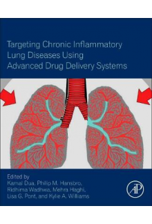 Targeting Chronic Inflammatory Lung Diseases Using Advanced Drug Delivery Systems - Humanitas