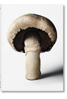 The Gourmand's Mushroom - Humanitas