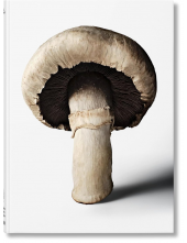 The Gourmand's Mushroom - Humanitas
