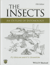 The Insects: An Outline of Ent omology - Humanitas