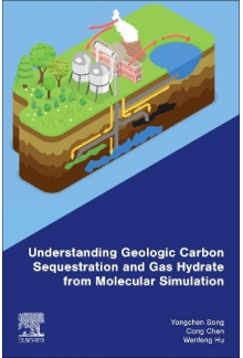 Understanding Geologic Carbon Sequestration and Gas Hydrate from Molecular Simulation - Humanitas