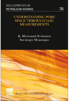 Understanding Pore Space through Log Measurements - Humanitas