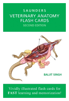 Veterinary Anatomy Flash Cards - Humanitas