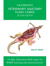 Veterinary Anatomy Flash Cards, 2nd Edition - Humanitas