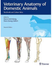 Veterinary Anatomy of Domestic Animals - Humanitas