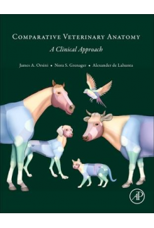 Comparative Veterinary Anatomy : A Clinical Approach - Humanitas