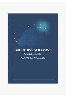 Virtualusis mokymasis. Teorija ir praktika - Humanitas