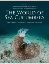 The World of Sea Cucumbers - Humanitas