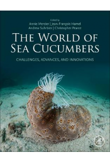 The World of Sea Cucumbers - Humanitas